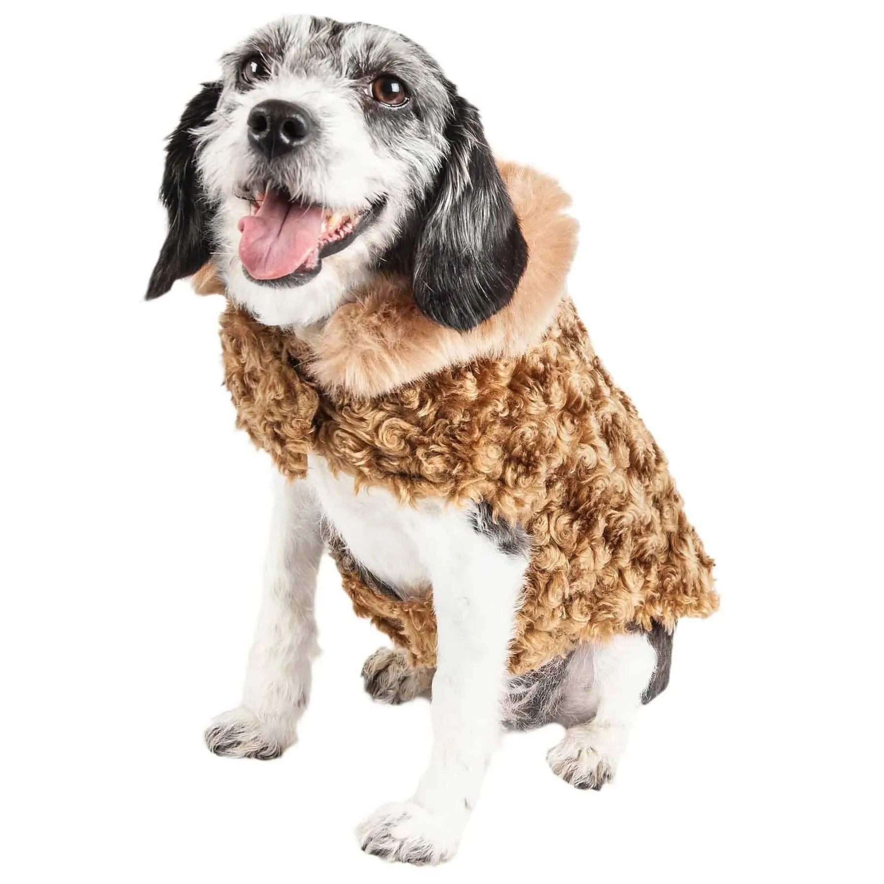 Shaggy Designer Dog Coat Fashion